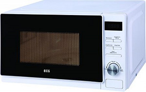 ECG MTD 2004 WA