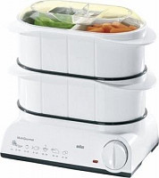 Braun FS 20